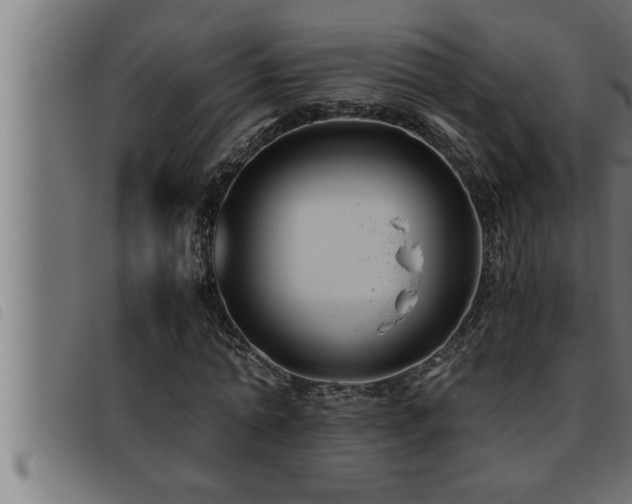 X0000093490774200710121506