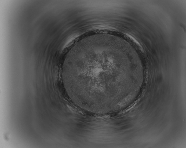 X0000093490775200710121506