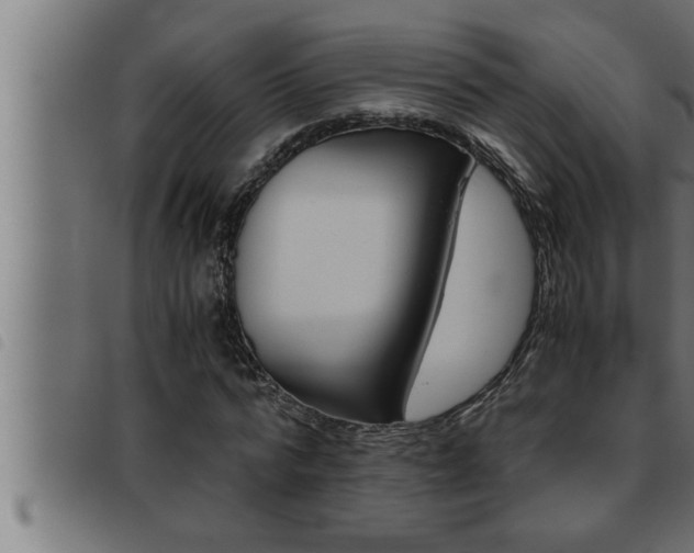X0000093490776200710121506