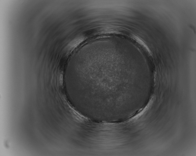 X0000093490777200710121506