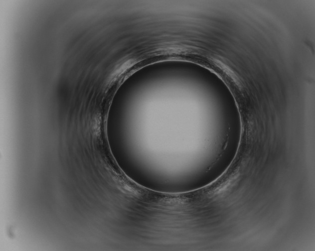 X0000093490778200710121506