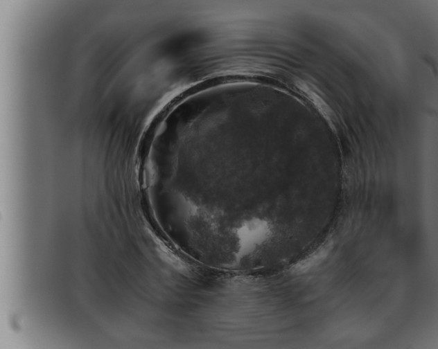 X0000093490779200710121506