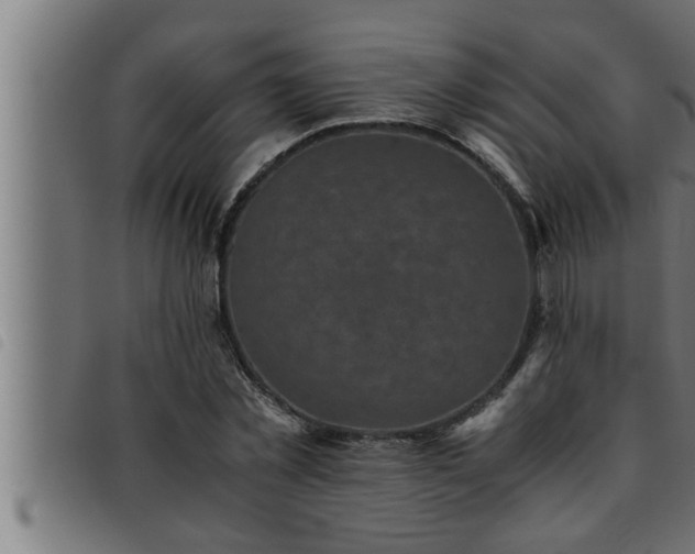 X0000093490781200710121506