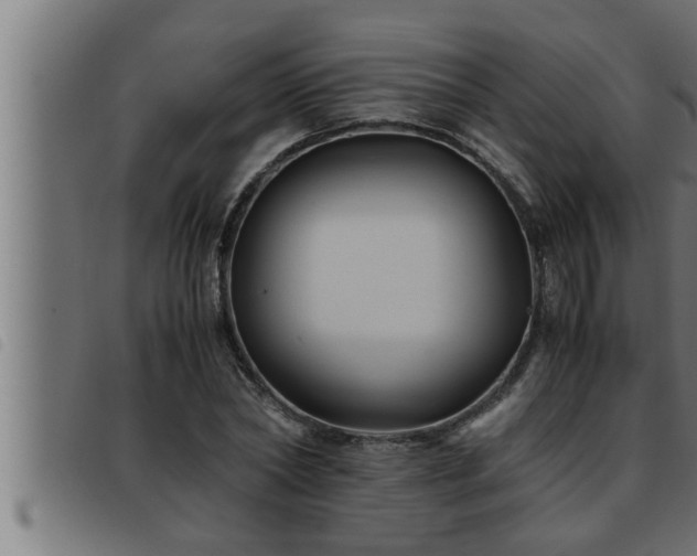X0000093490782200710121506