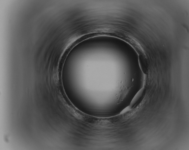 X0000093490784200710121506