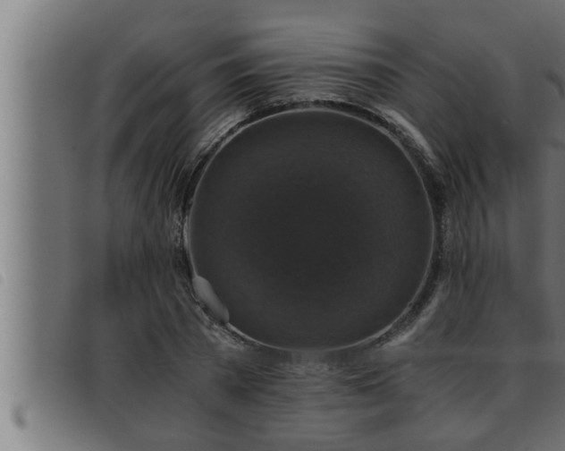 X0000093490785200710121506