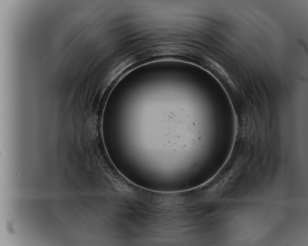 X0000093490786200710121506