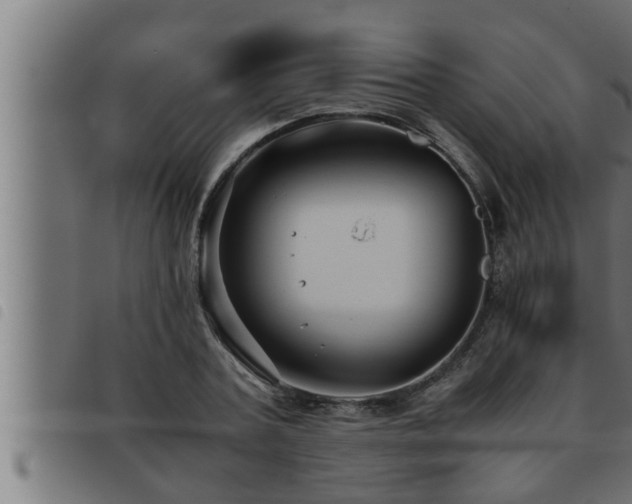 X0000093490787200710121506