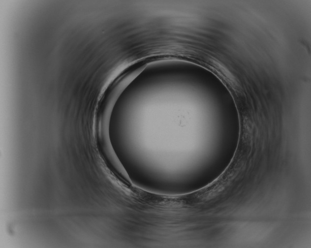 X0000093490788200710121506