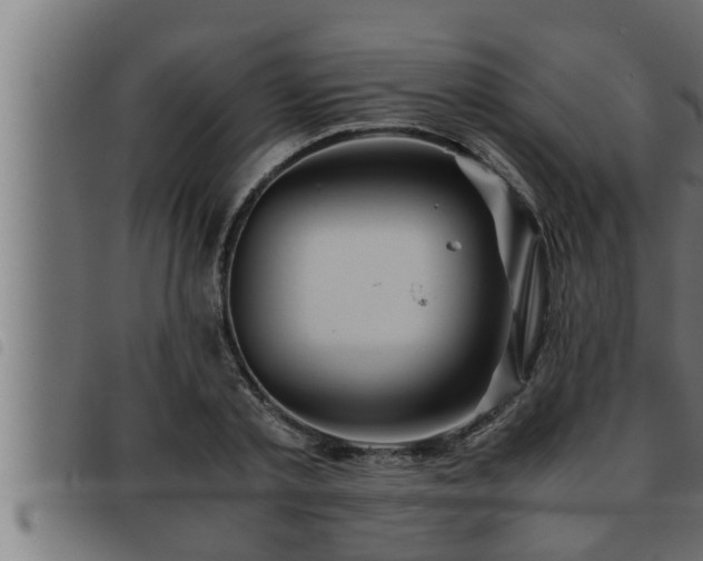 X0000093490789200710121506