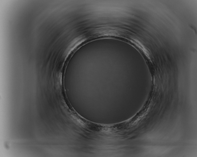 X0000093490790200710121506