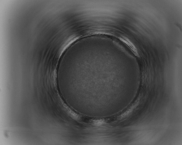 X0000093490798200710121505