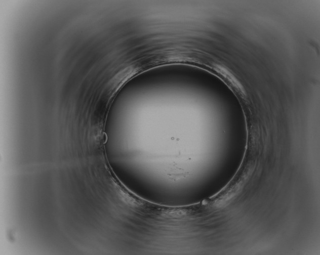 X0000093490801200710121505