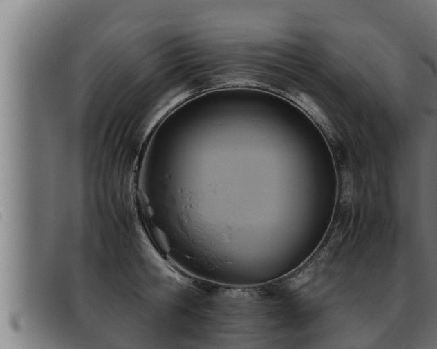 X0000093490806200710121505