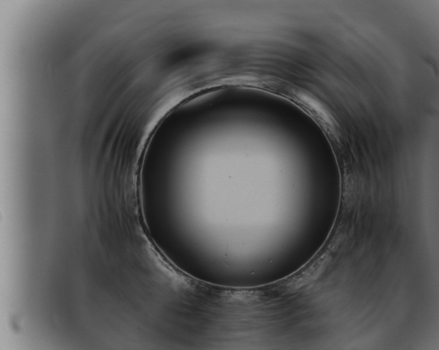X0000093490808200710121505
