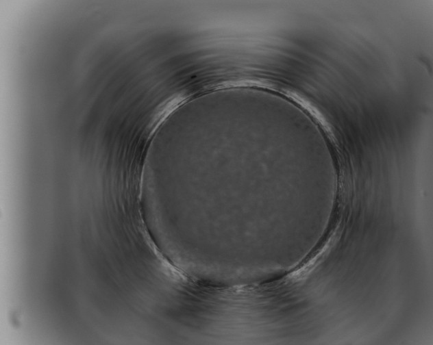 X0000093490809200710121505
