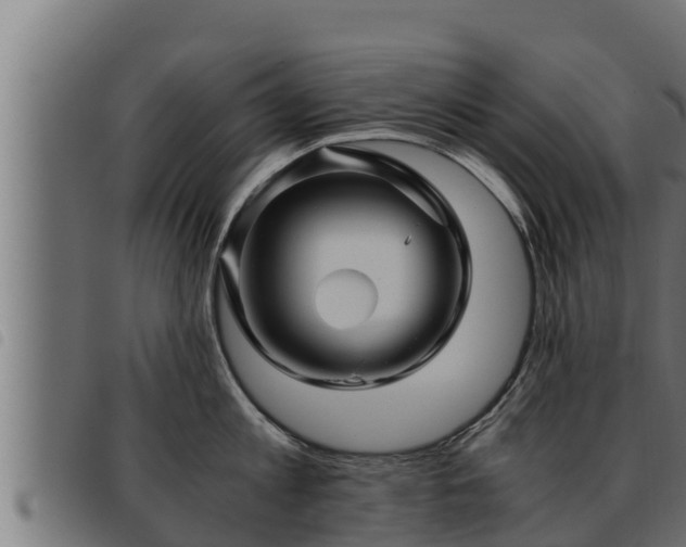 X0000093490813200710121505