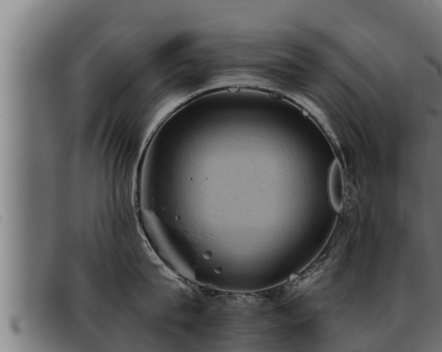 X0000093490815200710121505