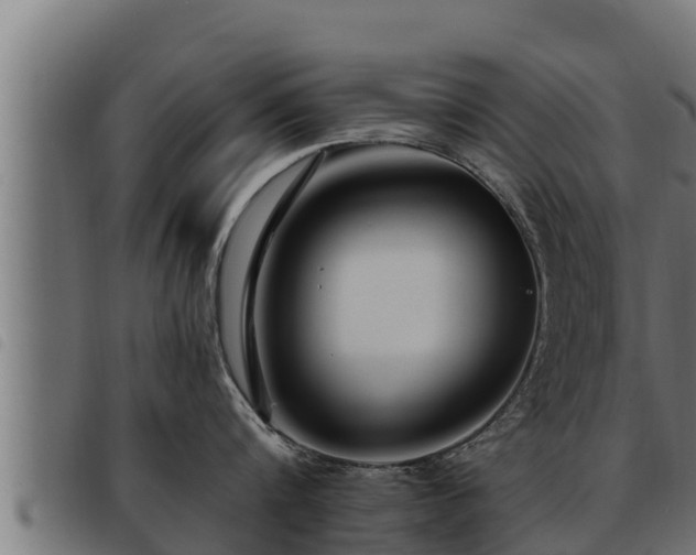 X0000093490816200710121505