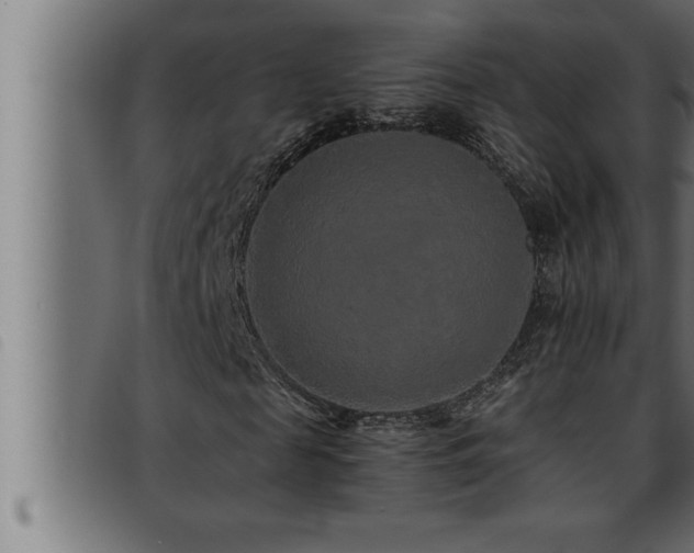 X0000093490817200710121504