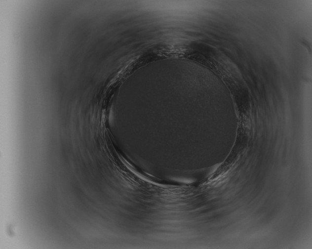 X0000093490818200710121505