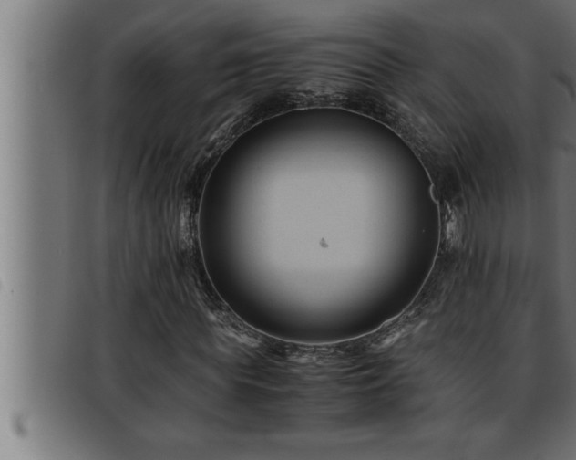 X0000093490819200710121505