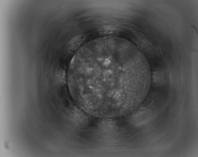 X0000093490820200710121505