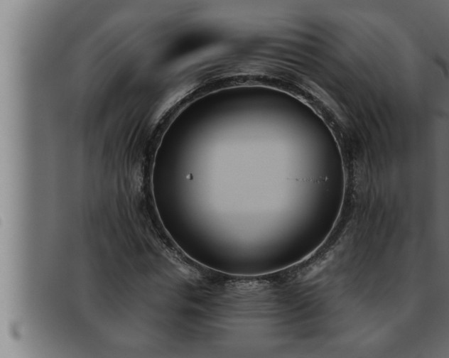 X0000093490826200710121505