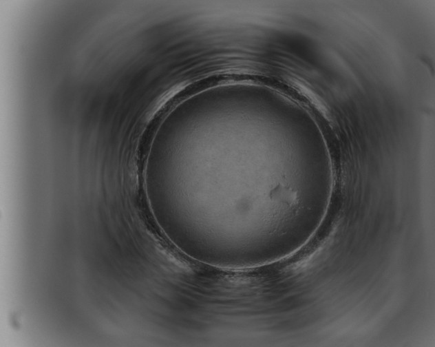 X0000093490829200710121505