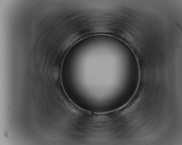 X0000093490833200710121505