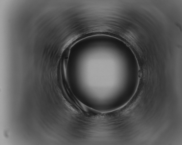 X0000093490834200710121505
