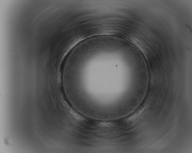 X0000093490835200710121505