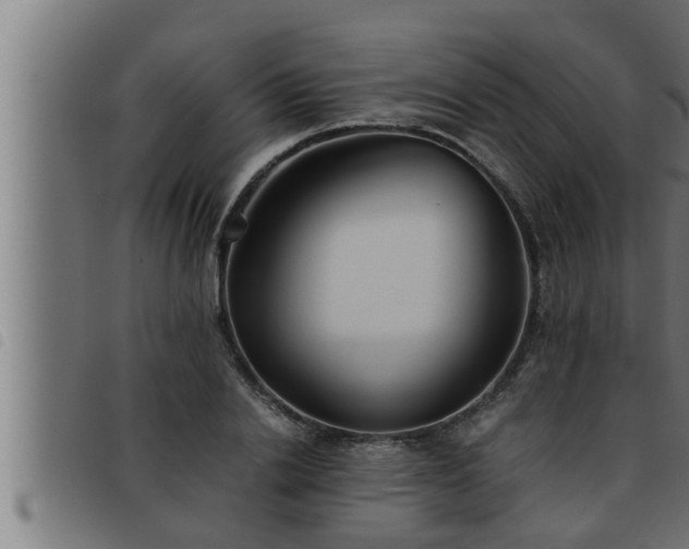 X0000093490838200710121505