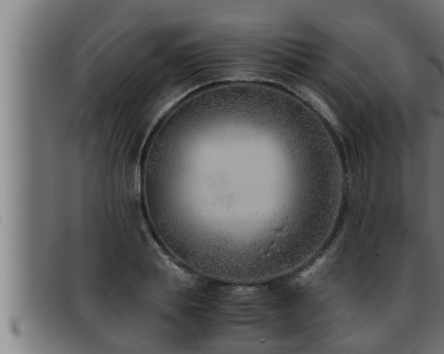 X0000093490839200710121505