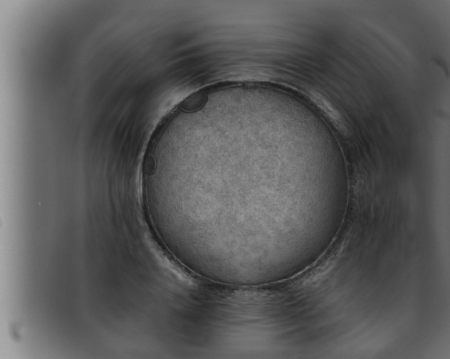 X0000093490840200710121505