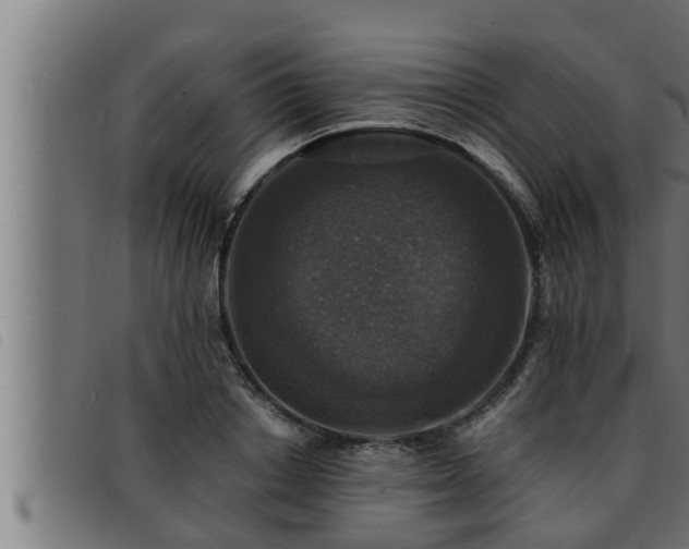 X0000093490842200710121505