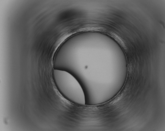 X0000093490844200710121505