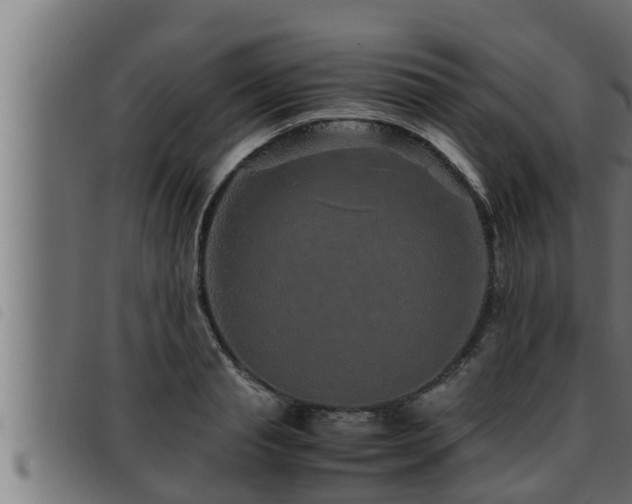 X0000093490845200710121505