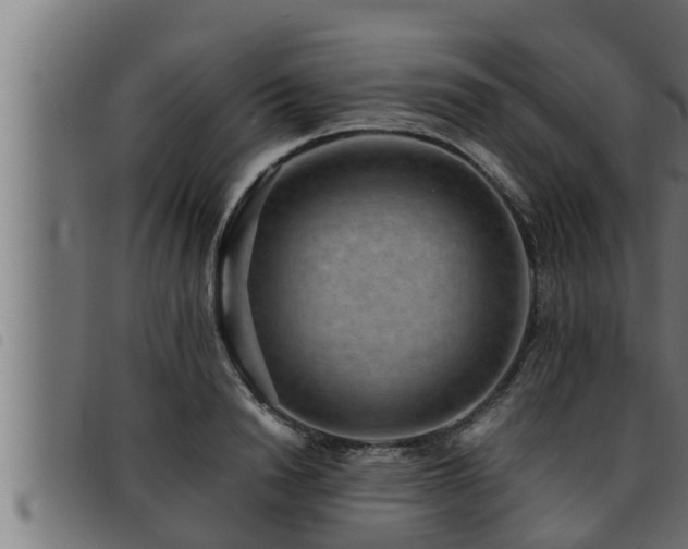 X0000093490846200710121505