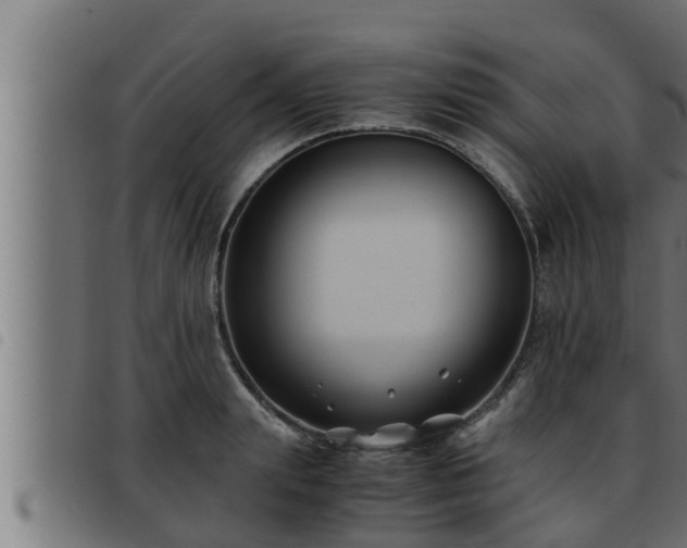 X0000093490847200710121505