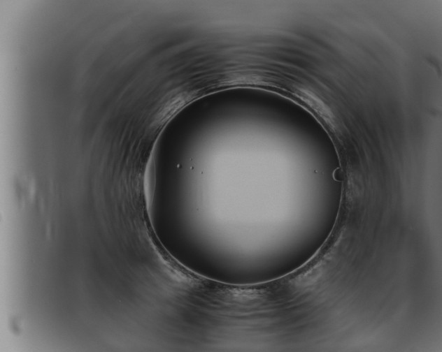 X0000093490849200710121505