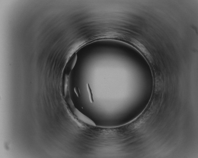 X0000093490850200710121505