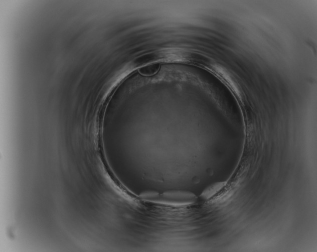 X0000093490851200710121505
