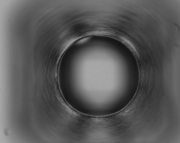 X0000093490852200710121505