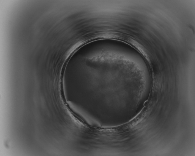 X0000093490853200710121505