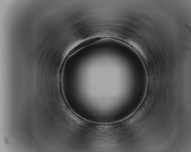 X0000093490854200710121505