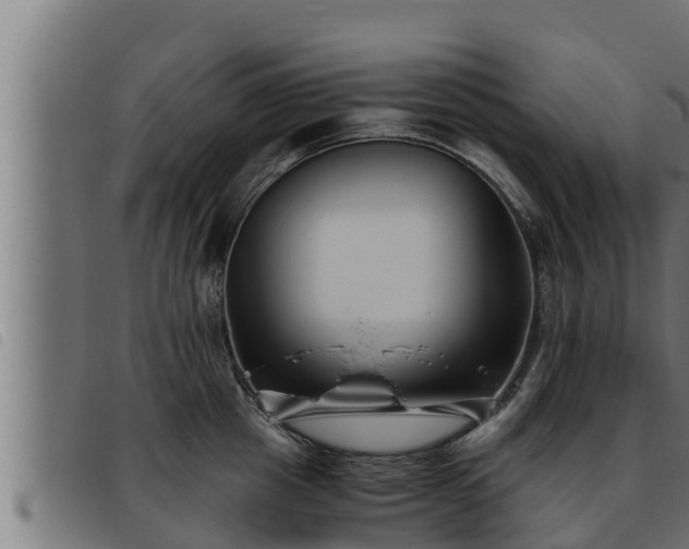 X0000093490857200710121505