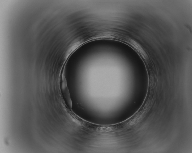 X0000093490858200710121505