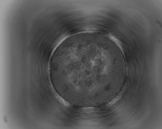 X0000093490859200710121505