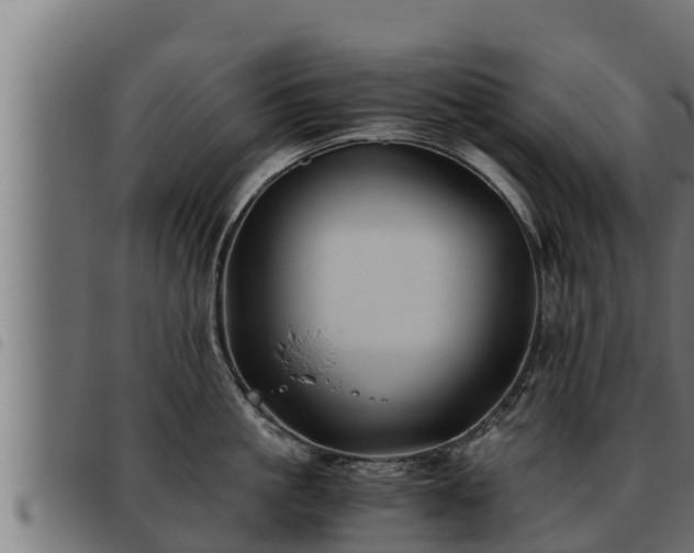 X0000093490861200710121505